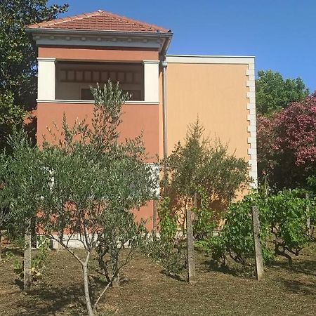 טיווט Apartments Rolovina מראה חיצוני תמונה