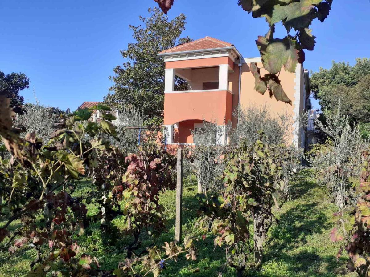 טיווט Apartments Rolovina מראה חיצוני תמונה