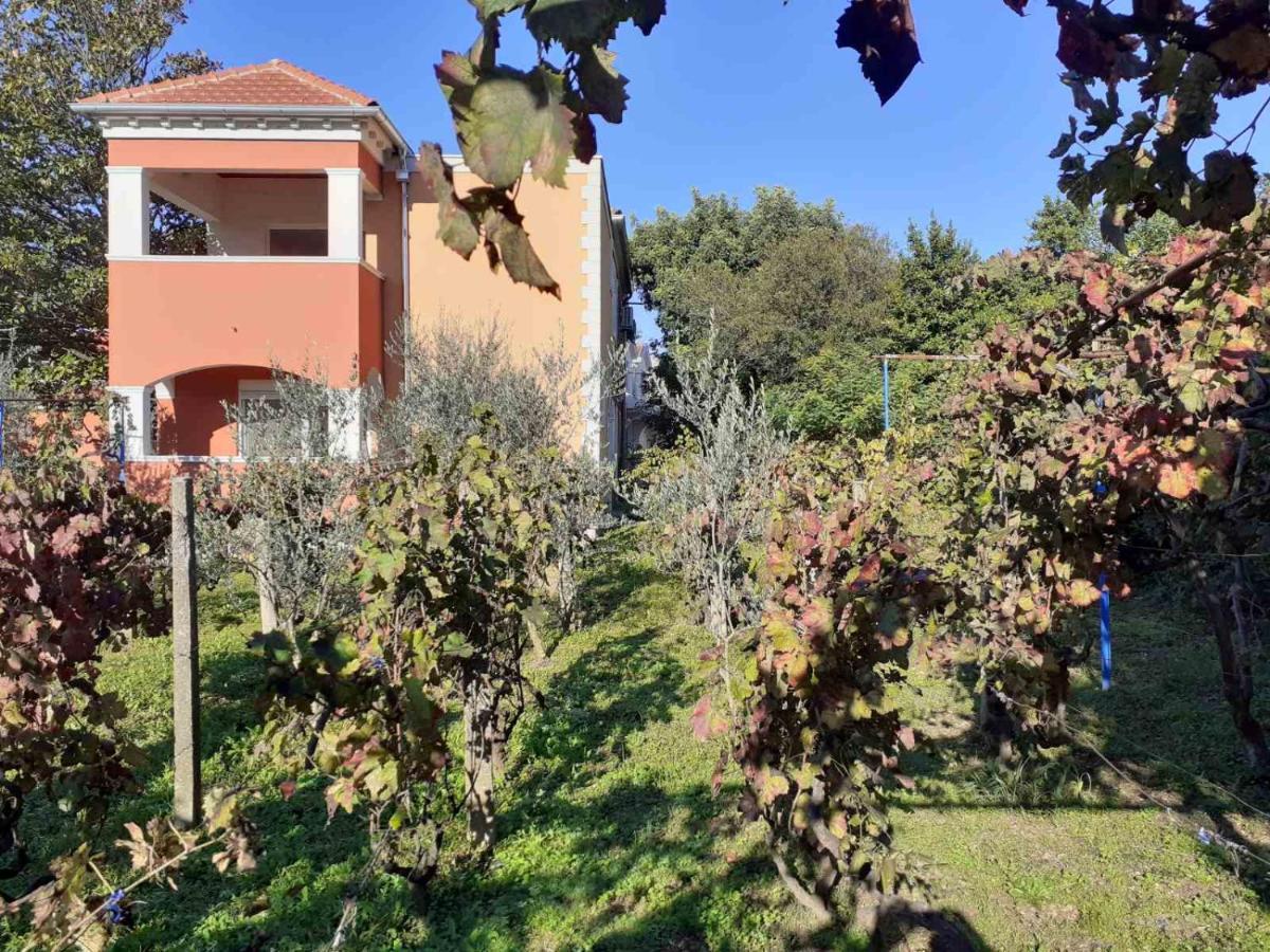 טיווט Apartments Rolovina מראה חיצוני תמונה