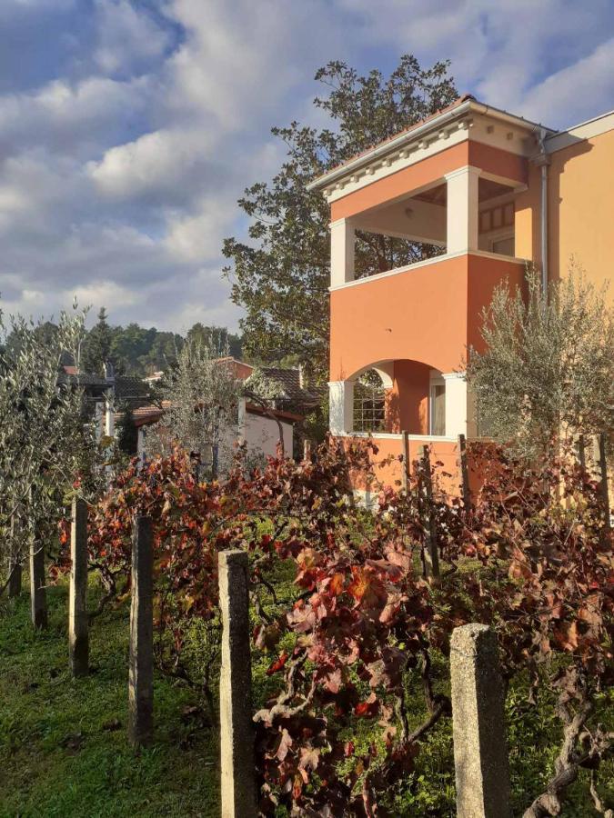 טיווט Apartments Rolovina מראה חיצוני תמונה