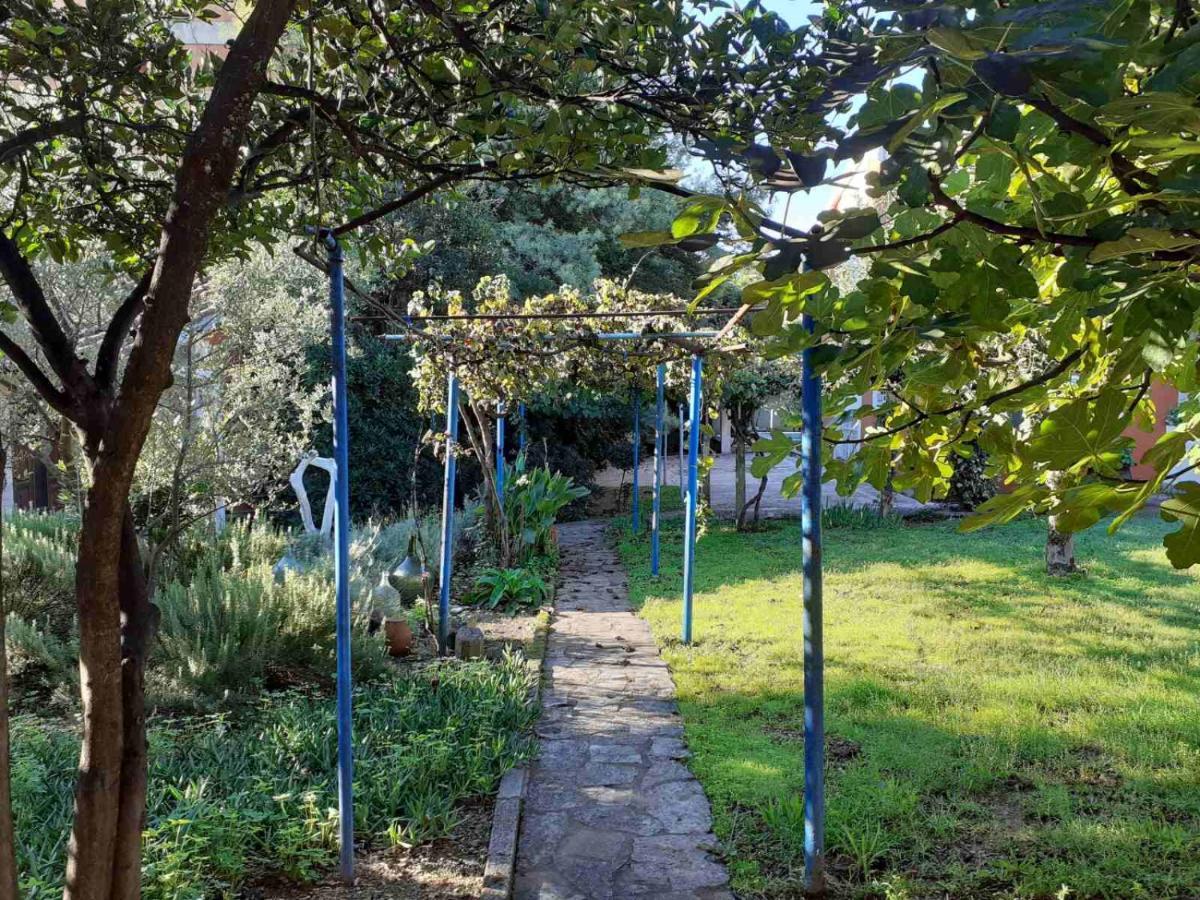 טיווט Apartments Rolovina מראה חיצוני תמונה