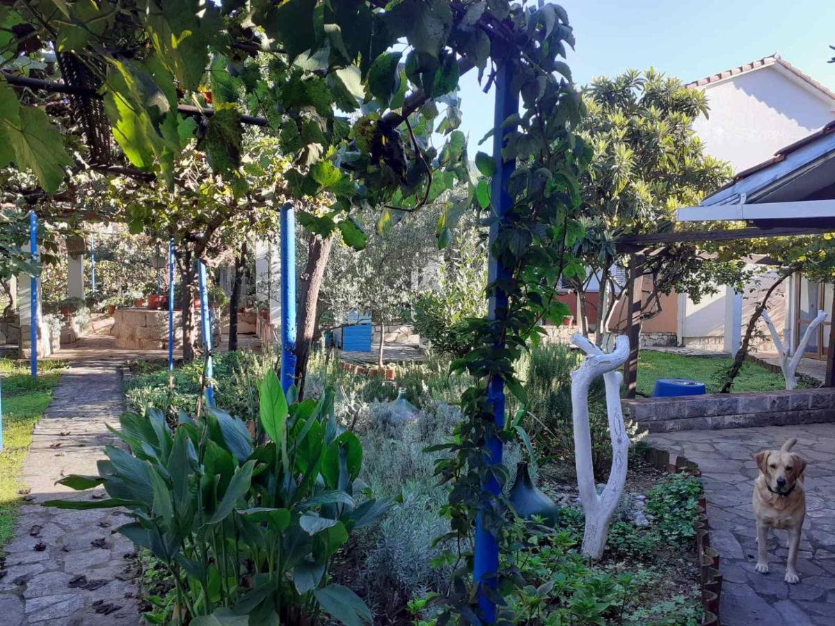 טיווט Apartments Rolovina מראה חיצוני תמונה